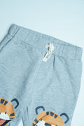 Grey Tiger