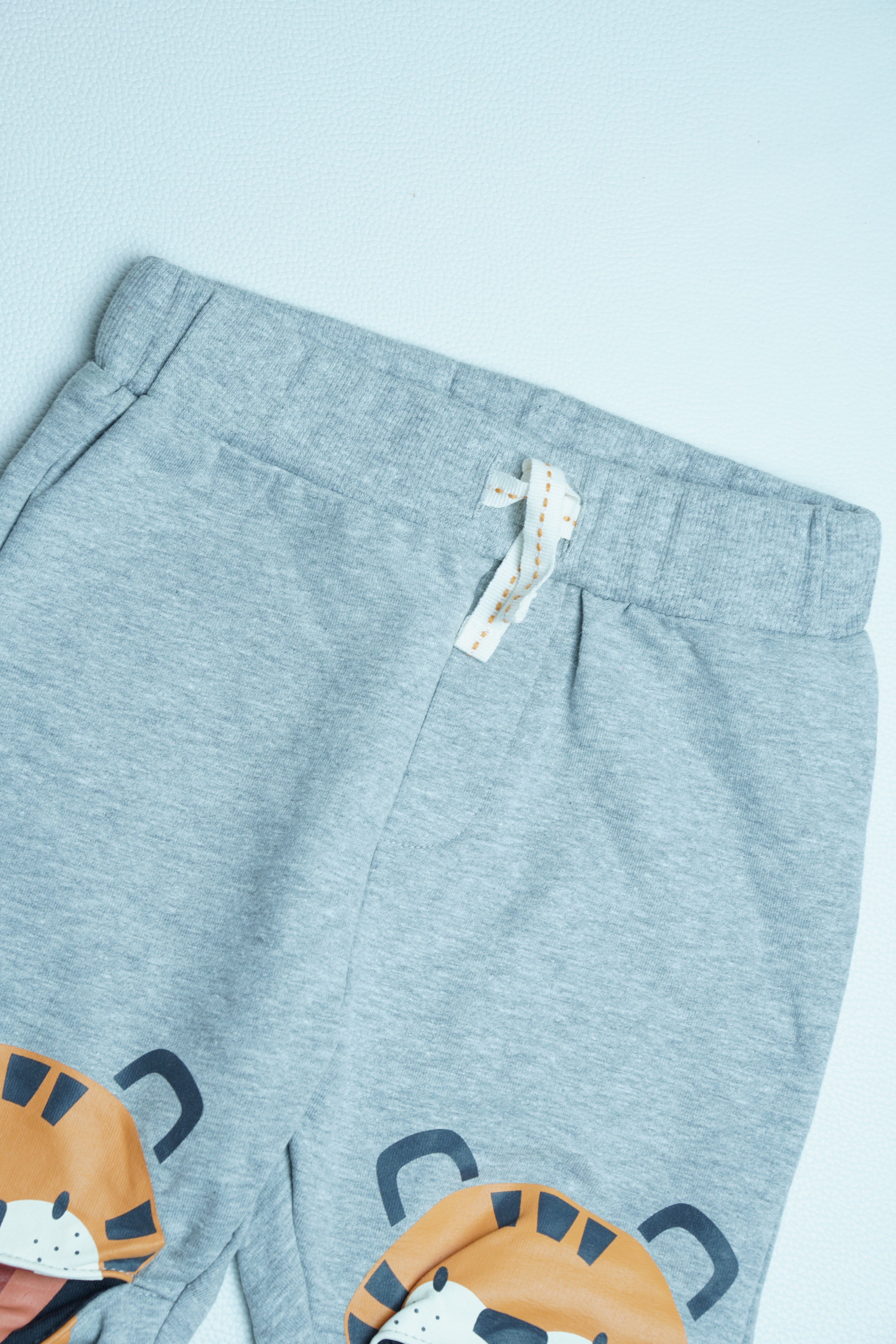 Grey Tiger